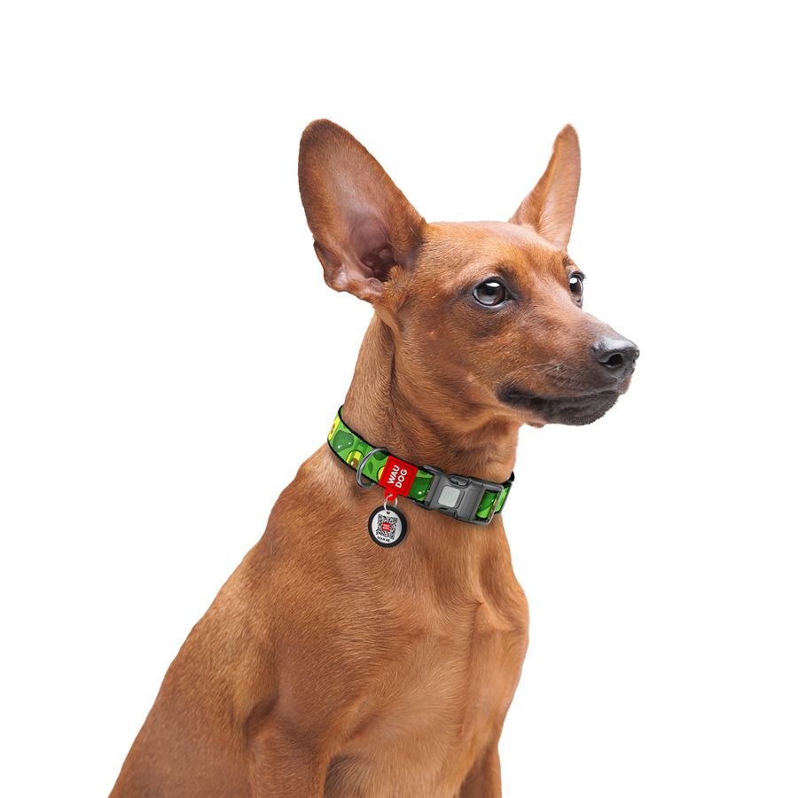 Нашийник для собак нейлоновий WAUDOG Nylon з QR паспортом, малюнок "Авокадо", пластиковий фастекс, Ш 25 мм, Дов 33-49 см — фото 5