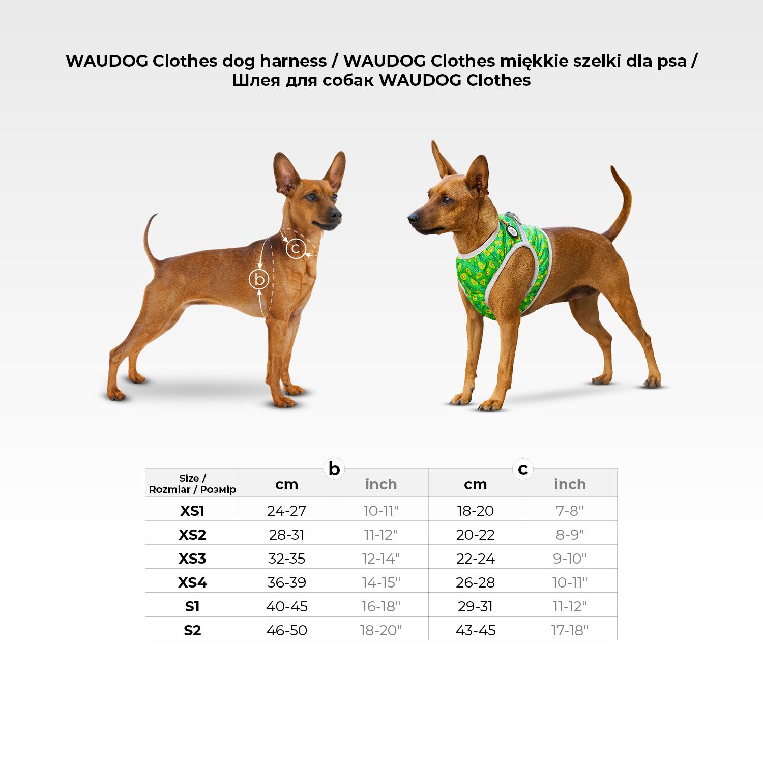 Шлея для собак м'яка WAUDOG Clothes з QR паспортом, малюнок "Супермен комікс", XS1, В 24-27 см, С 18-20 см — фото 2