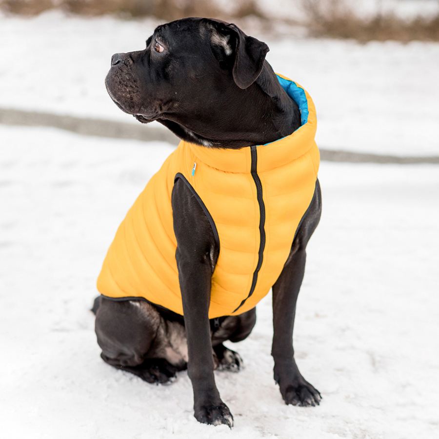 Двостороння курточка AiryVest для собак , розмір L 65, жовто-блакитна — фото 4