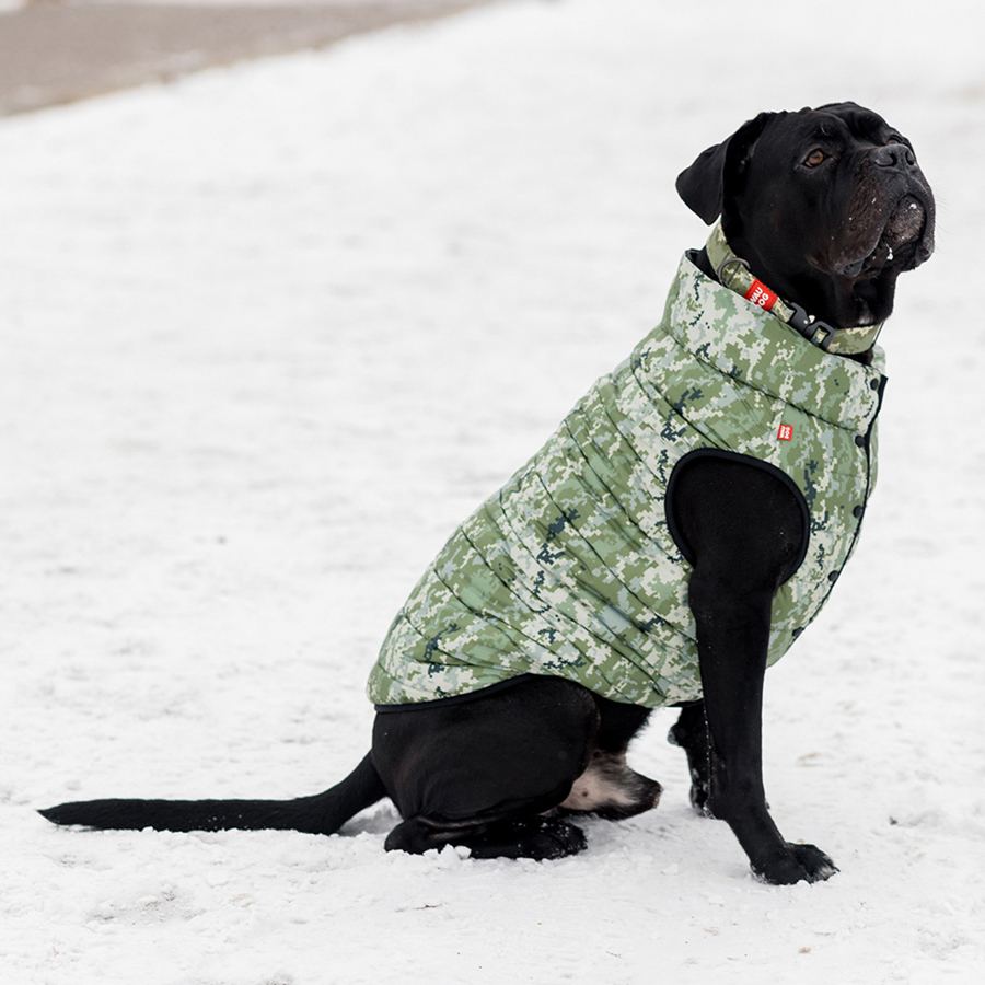 Курточка для собак WAUDOG Clothes, малюнок "Мілітарі", M50, В 76-79 см, С 55-61 см — фото 4