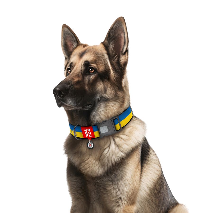 Нашийник для собак нейлоновий WAUDOG Nylon з QR паспортом, малюнок "Colors of freedom", пластиковий фастекс, XXL, Ш 35 мм, Дов 46-70 см — фото 4