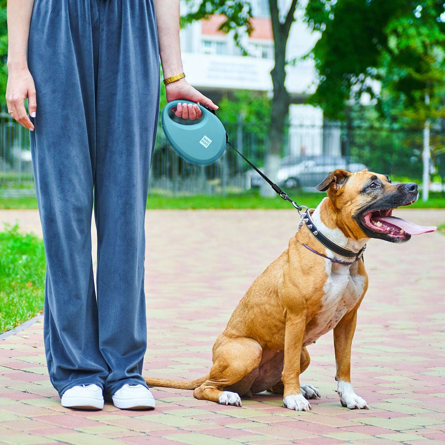 Повідець-рулетка для собак WAUDOG R-leash з контейнером для пакетів, світловідбивна стрічка, L, до 40 кг, 5 м, блакитний — фото 2