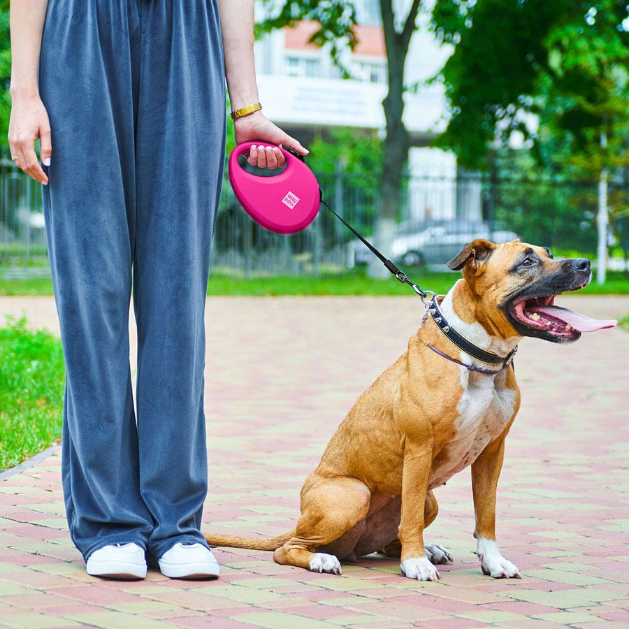 Повідець-рулетка для собак WAUDOG R-leash з контейнером для пакетів, світловідбивна стрічка, L, до 40 кг, 5 м, рожевий — фото 2