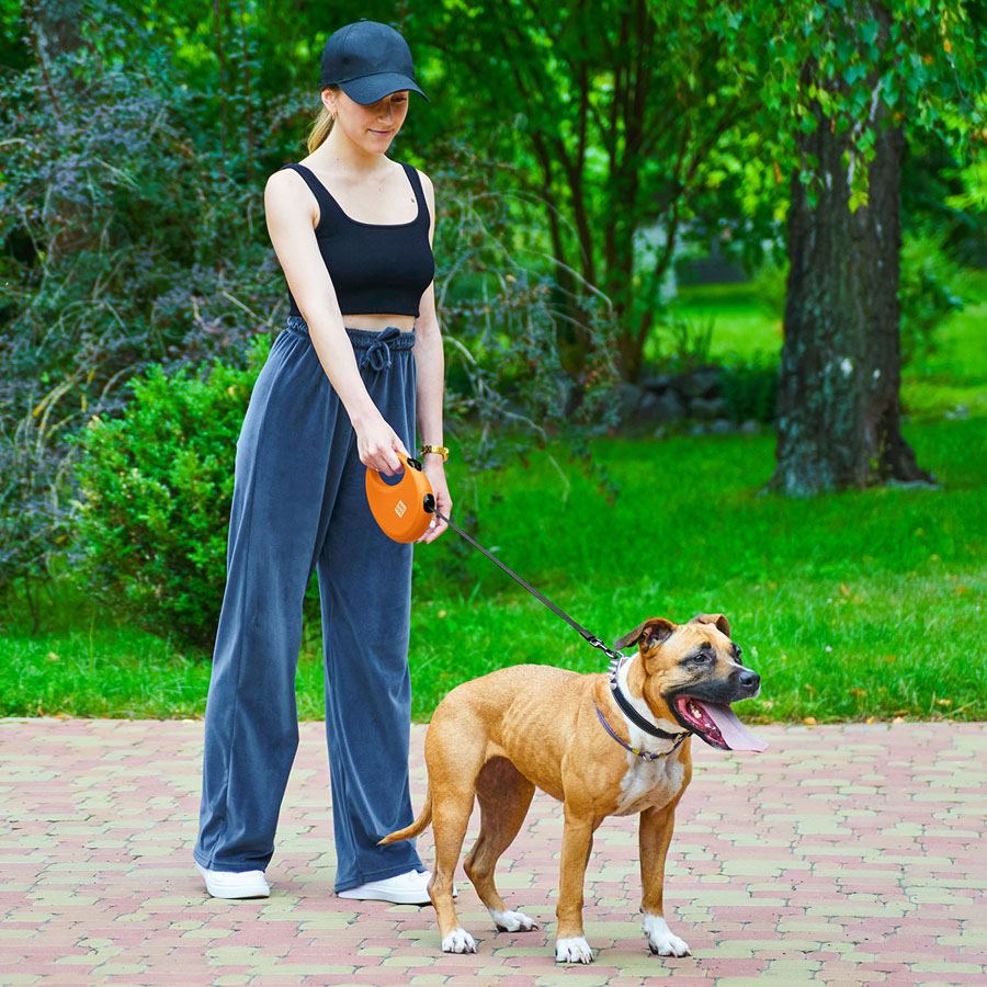 Повідець-рулетка для собак WAUDOG R-leash з контейнером для пакетів, світловідбивна стрічка, L, до 40 кг, 5 м, помаранчевий — фото 3