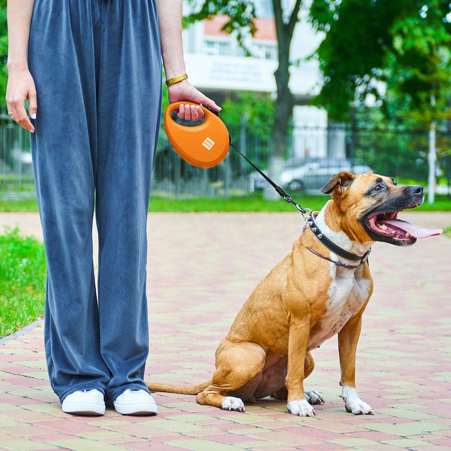 Повідець-рулетка для собак WAUDOG R-leash з контейнером для пакетів, світловідбивна стрічка, L, до 40 кг, 5 м, помаранчевий — фото 2