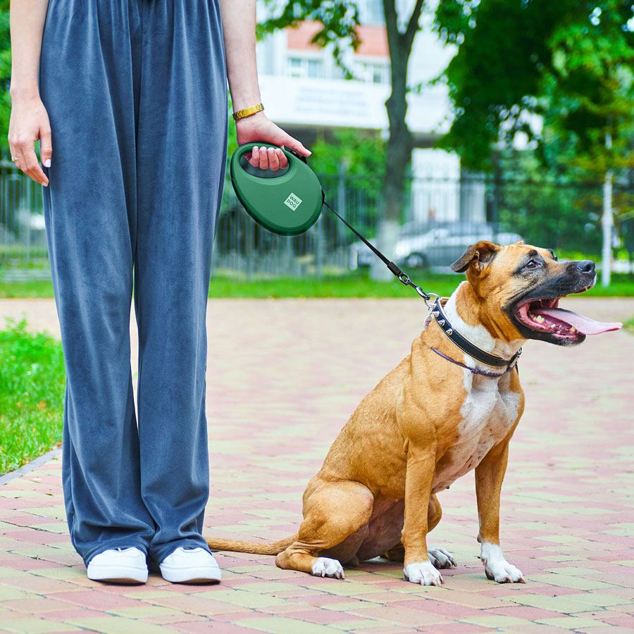 Повідець-рулетка для собак WAUDOG R-leash з контейнером для пакетів, світловідбивна стрічка, L, до 40 кг, 5 м, зелений — фото 2
