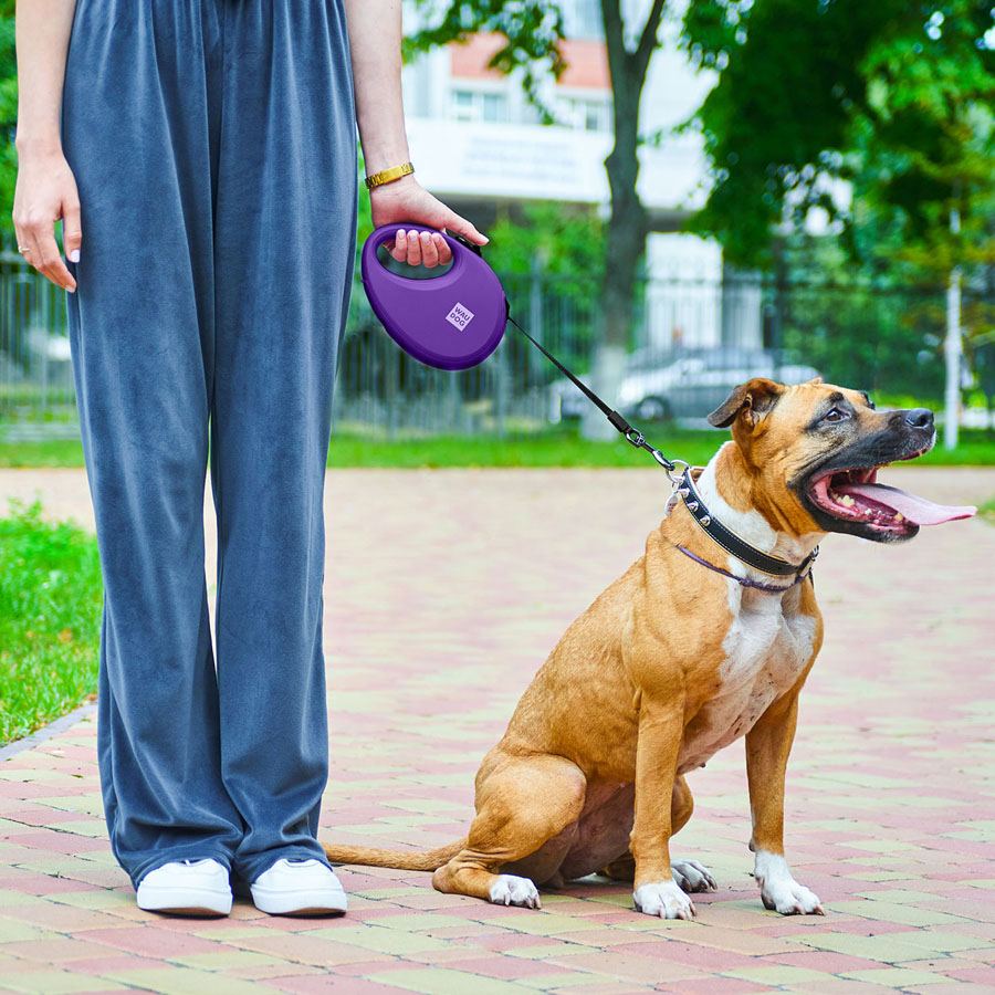 Повідець-рулетка для собак WAUDOG R-leash з контейнером для пакетів, світловідбивна стрічка, L, до 40 кг, 5 м, фіолетовий — фото 2