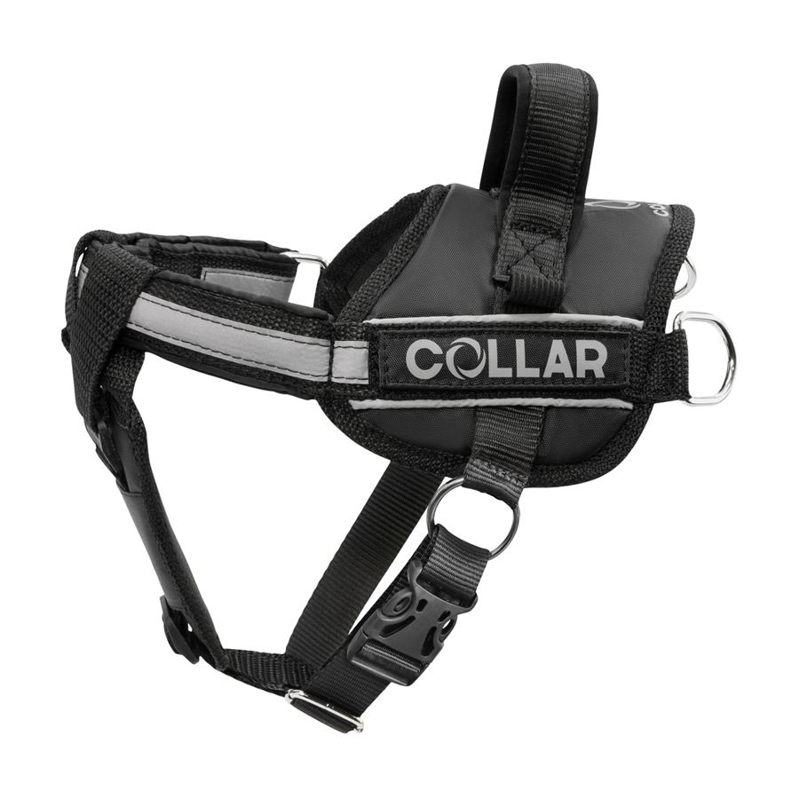 Шлея "Dog Extreme" "POLICE" №1 (В:35-45см) чорний