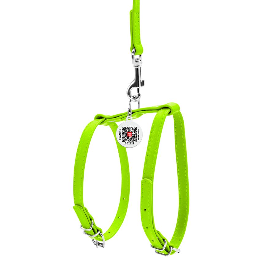 Шлея з повідцем для собак шкіряна WAUDOG Glamour з QR паспортом, Ш 9 мм, А 20-30 см, В 30-40 см салатовий — фото 3