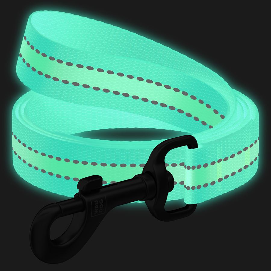 Повідець для собак нейлоновий WAUDOG Nylon, світонакоплювальний, Ш 20 мм, Дов 122 см блакитний — фото 2