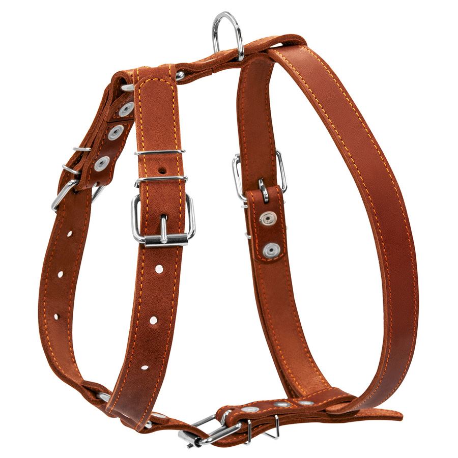 Шлея "CoLLaR" одинарна для середніх собак (ширина 25мм, А:49-68см, В:68-80см) коричневий — фото 2