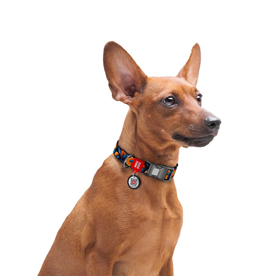 Нашийник для собак нейлоновий WAUDOG Nylon з QR паспортом, малюнок "Апельсини", пластиковий фастекс, L, Ш 25 мм, Дов 33-49 см — фото 5