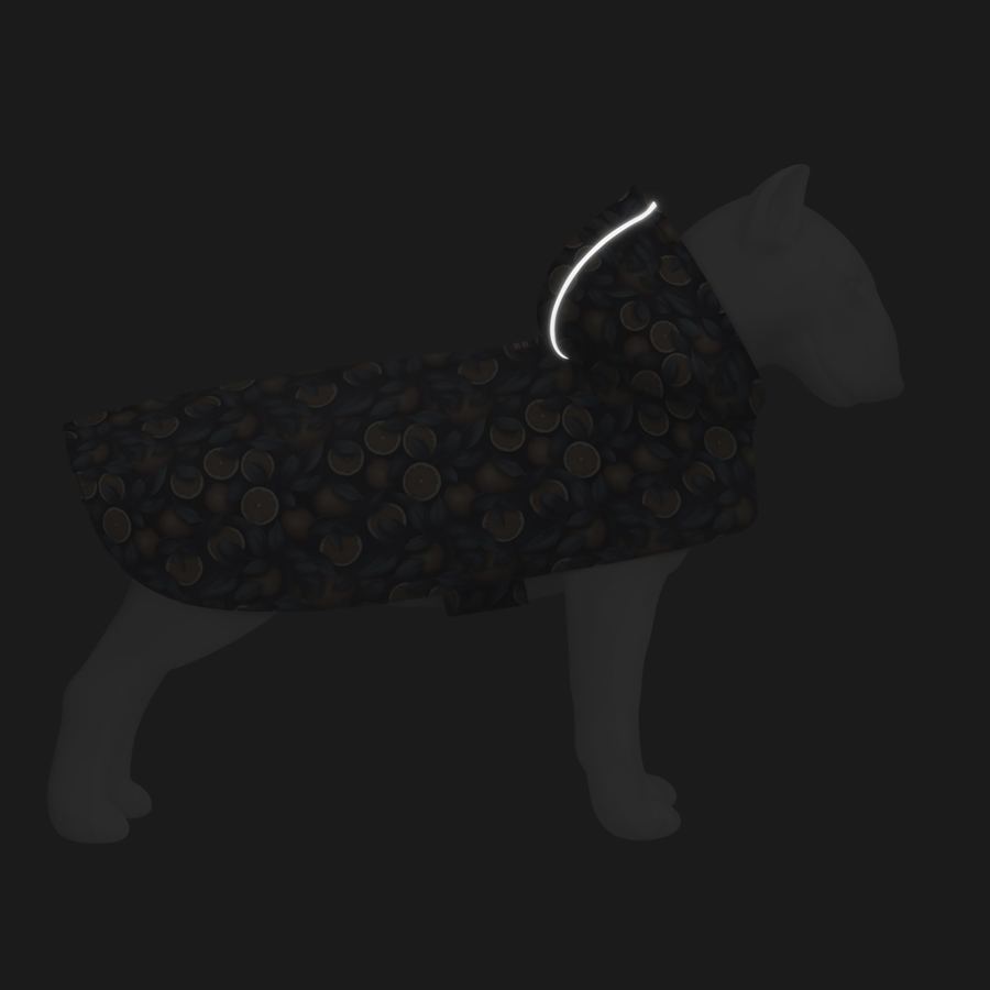 Дощовик-накидка з капюшоном для собак WAUDOG Clothes, малюнок "Апельсини",L, А 48-52 см, B 60-70 см, С 42-52 см — фото 5