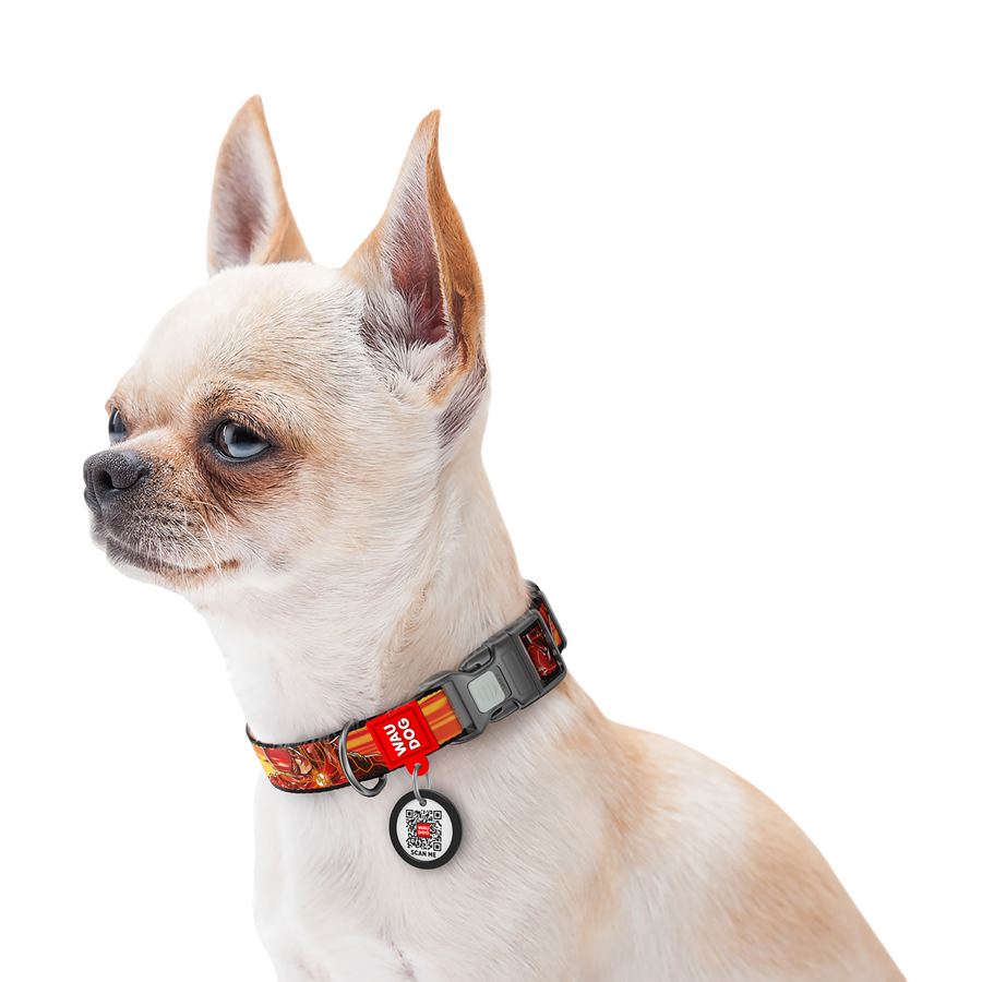 Нашийник для собак нейлоновий WAUDOG Nylon з QR паспортом, малюнок "Швидкість Флеша", пластиковий фастекс, S, Ш 15 мм, Дов 25-35 см — фото 4