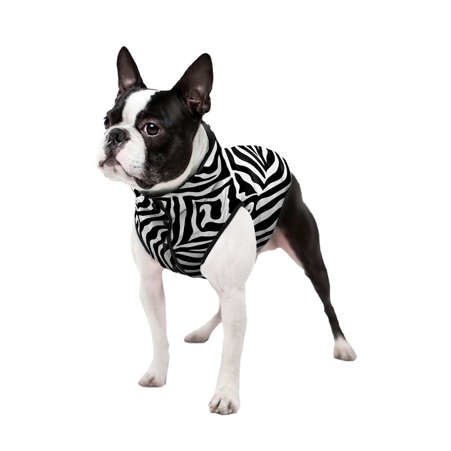 Курточка для собак WAUDOG Clothes, малюнок "Зебра", S30, В 58-62 см, С 42-46 см — фото 3