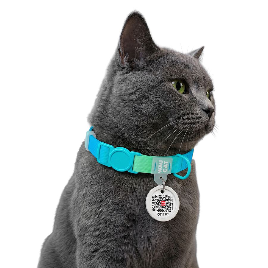 Нашийник для котів нейлоновий WAUCAT Nylon Recycled з QR адресником, градієнт, безпечна пряжка, XS, Ш 10 мм, Дов 20-30 см, блакитний — фото 2