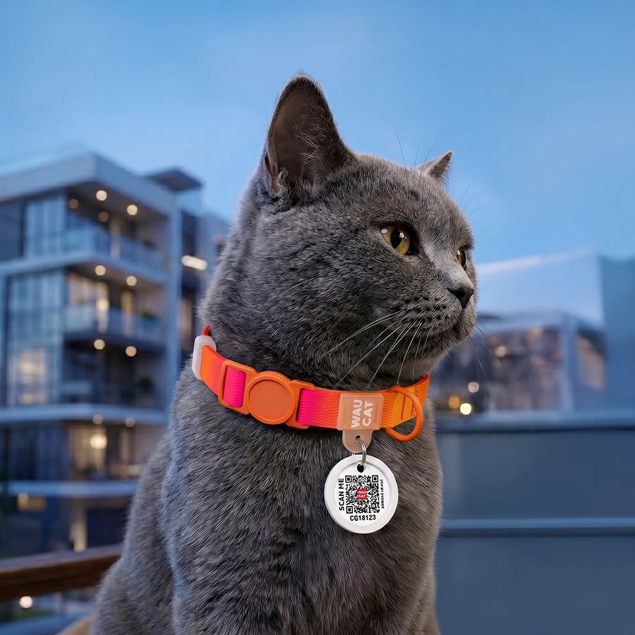 Нашийник для котів нейлоновий WAUCAT Nylon Recycled з QR адресником, градієнт, безпечна пряжка, XS, Ш 10 мм, Дов 20-30 см, помаранчевий — фото 4