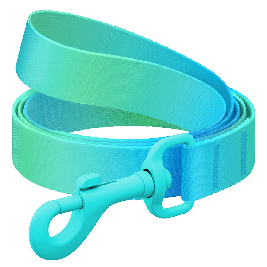 Повідець для собак з нейлону WAUDOG Nylon Recycled, градієнт, кольоровий карабін, M, Ш 20 мм, Д 122 cм, блакитний