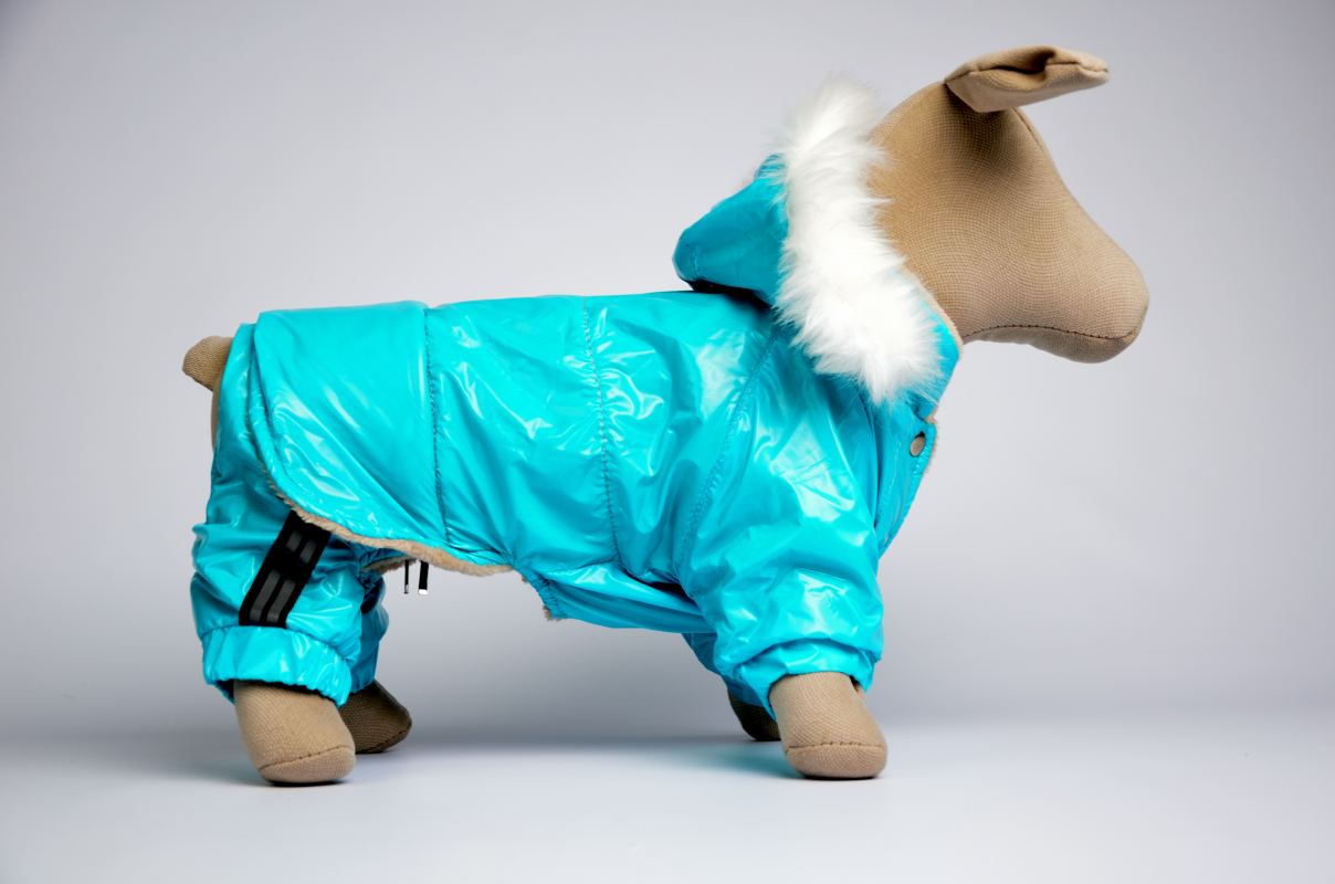 Костюм з капюшоном Бруно Zoobaza - бірюзовий, 25 х 34