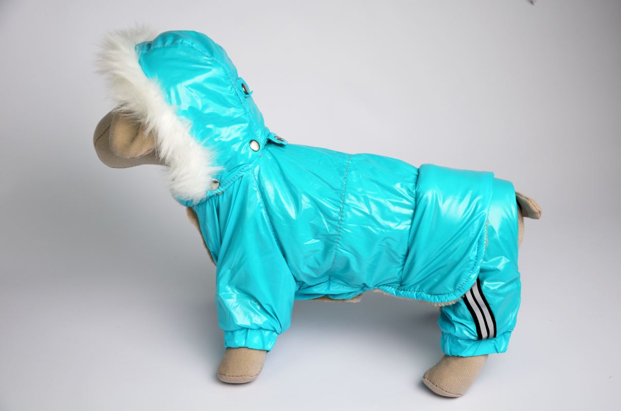 Костюм з капюшоном Бруно Zoobaza - бірюзовий, 34 х 46